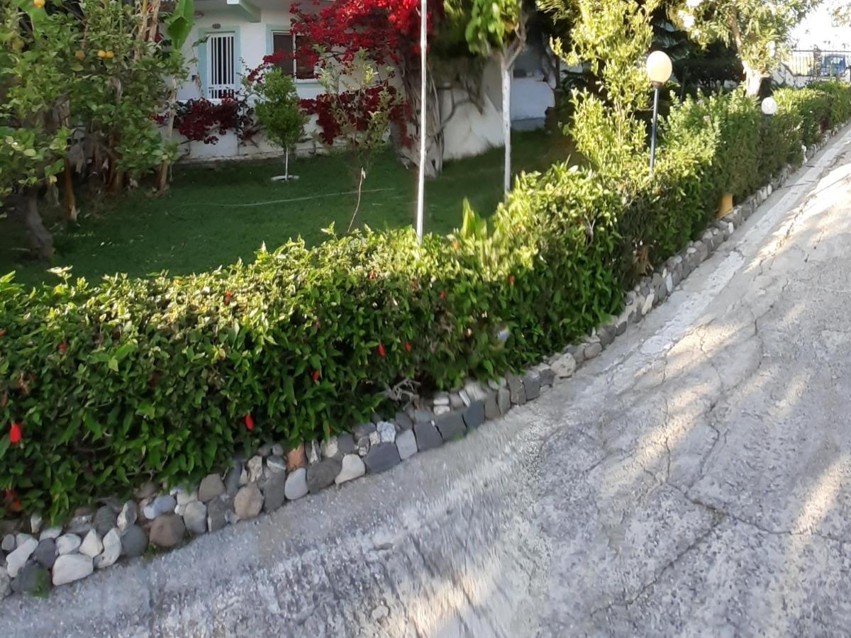 Zikas Apartments مارماري المظهر الخارجي الصورة